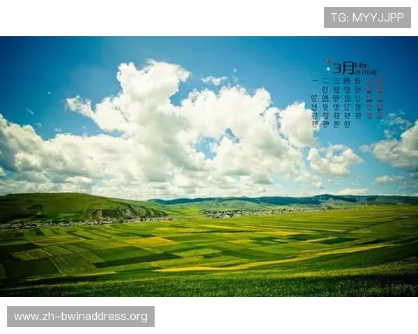 天空在线地址2026年最新版本，快速访问无需繁琐操作